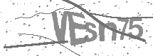 visual captcha